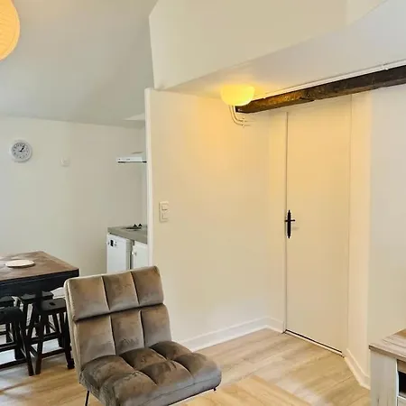 Apartment Le Citronnelle - Bel En Hyper-centre Poitiers